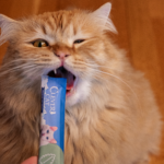 Creamy Catnip 4-pack Mixed 4 Flavors - Bild 5