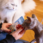 Pillows 30g Catnip - Bild 5